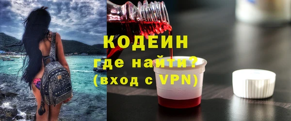мдпв Вяземский