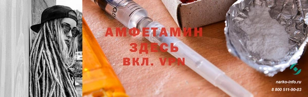 мдпв Вяземский