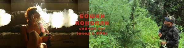 каннабис Верея
