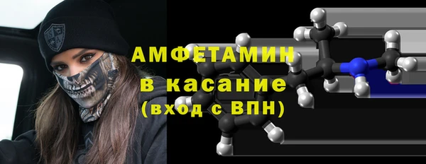 мдпв Вяземский