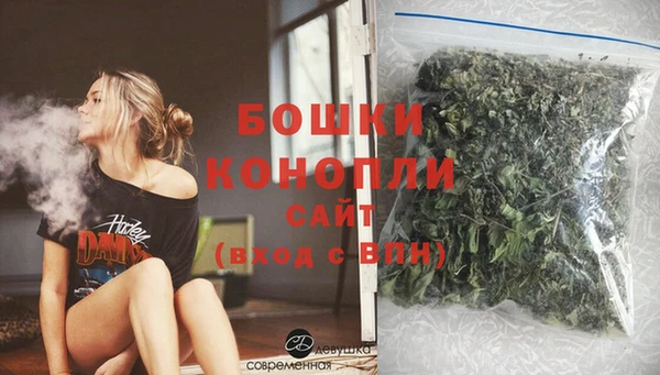 мдпв Вяземский