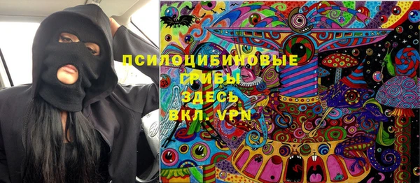 мдпв Вяземский