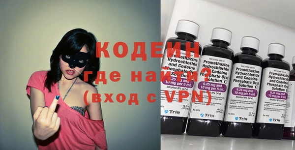 мдпв Вяземский